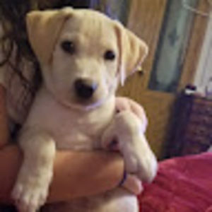 Meet your Posher, Faith